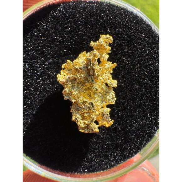 California Native Gold Crystal - 0.93 grams - Picture 3 of 5